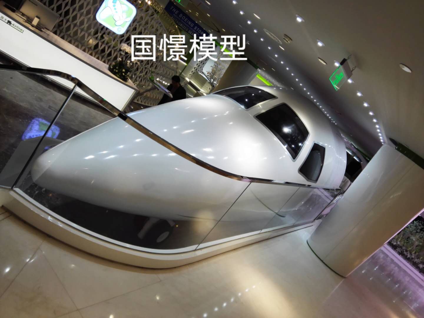 黄龙县大型仿真模型道具